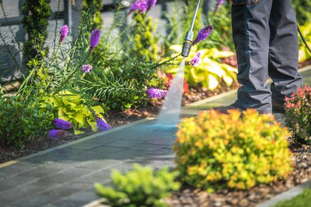 Best Post-Construction Pressure Washing  in Brownsboro, TX