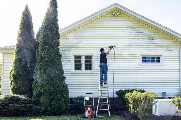 Best Solar Panel Cleaning  in Brownsboro, TX